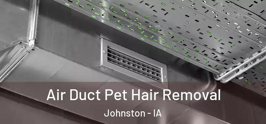  Air Duct Pet Hair Removal Johnston - IA
