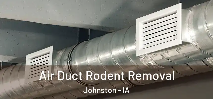  Air Duct Rodent Removal Johnston - IA