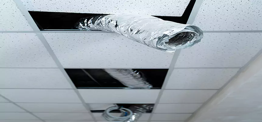 Our Air Duct Pet Hair Removal Services in Johnston, IA