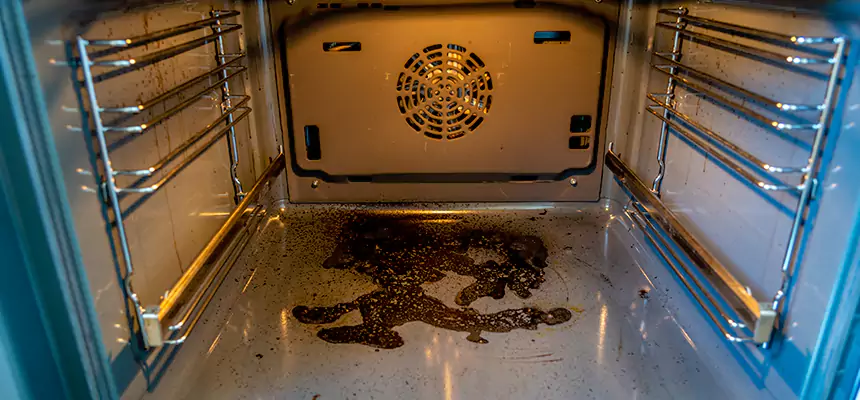 Our Dryer Vent Mold Cleaning Services in Johnston, IA