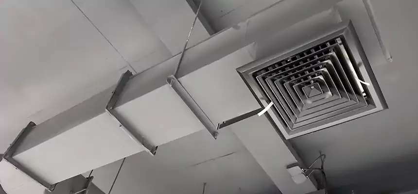 Our Pest Removal From Ducts Services in Johnston, IA