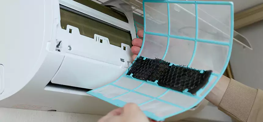 Gentle Ductwork Odor-Control Pet Dander Duct Cleaning in Johnston, IA