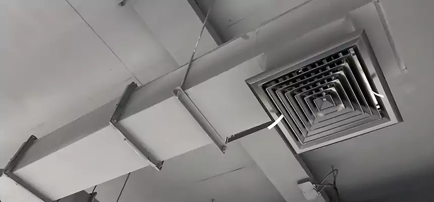 Our Rodent Droppings In Vents Services in Johnston, IA