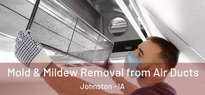  Mold & Mildew Removal from Air Ducts Johnston - IA