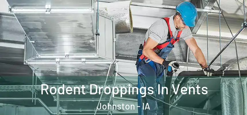  Rodent Droppings In Vents Johnston - IA