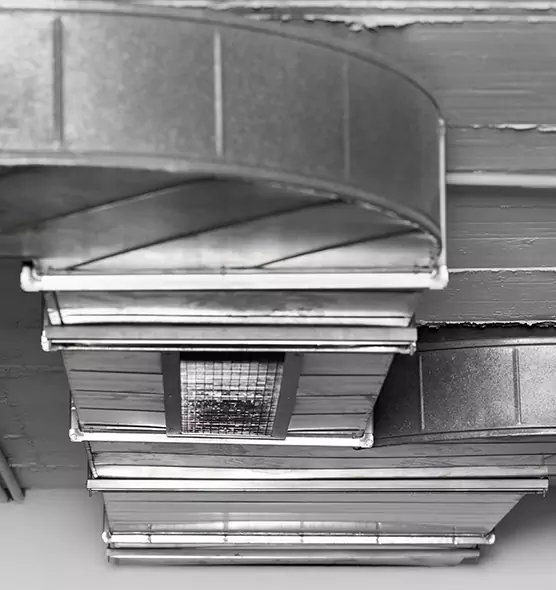 Professional Air Duct Pest Removal in Johnston, IA