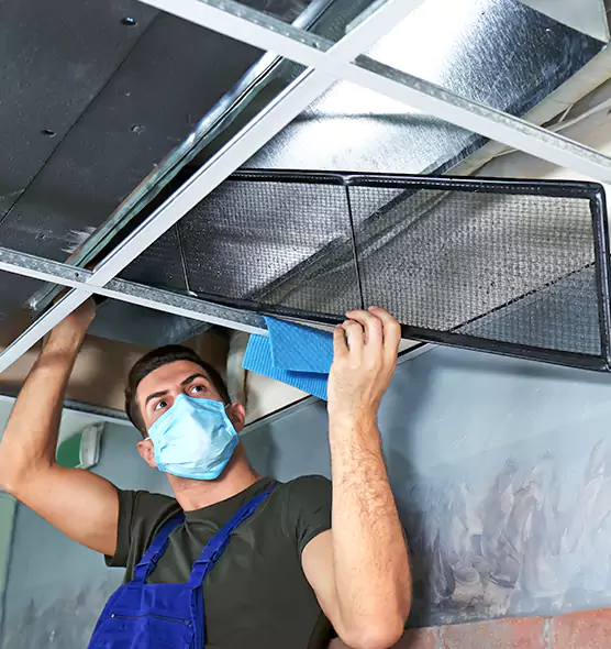 Professional Air Duct Pollen Cleaning in Johnston, IA