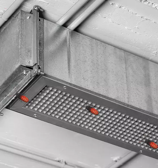 Affordable Insect Removal from Air Ducts in Johnston, IA