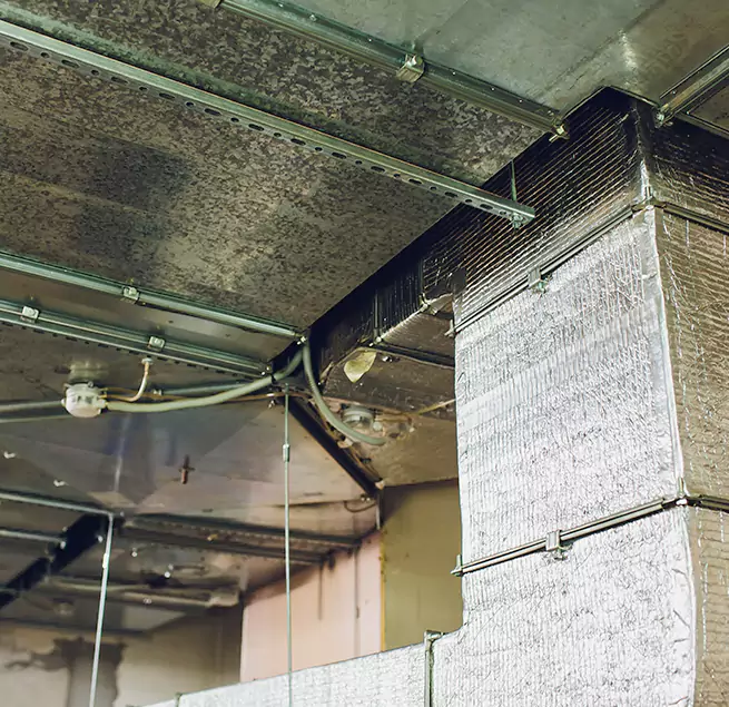 Why Homeowners & Businesses Trust Us in Johnston, IA?